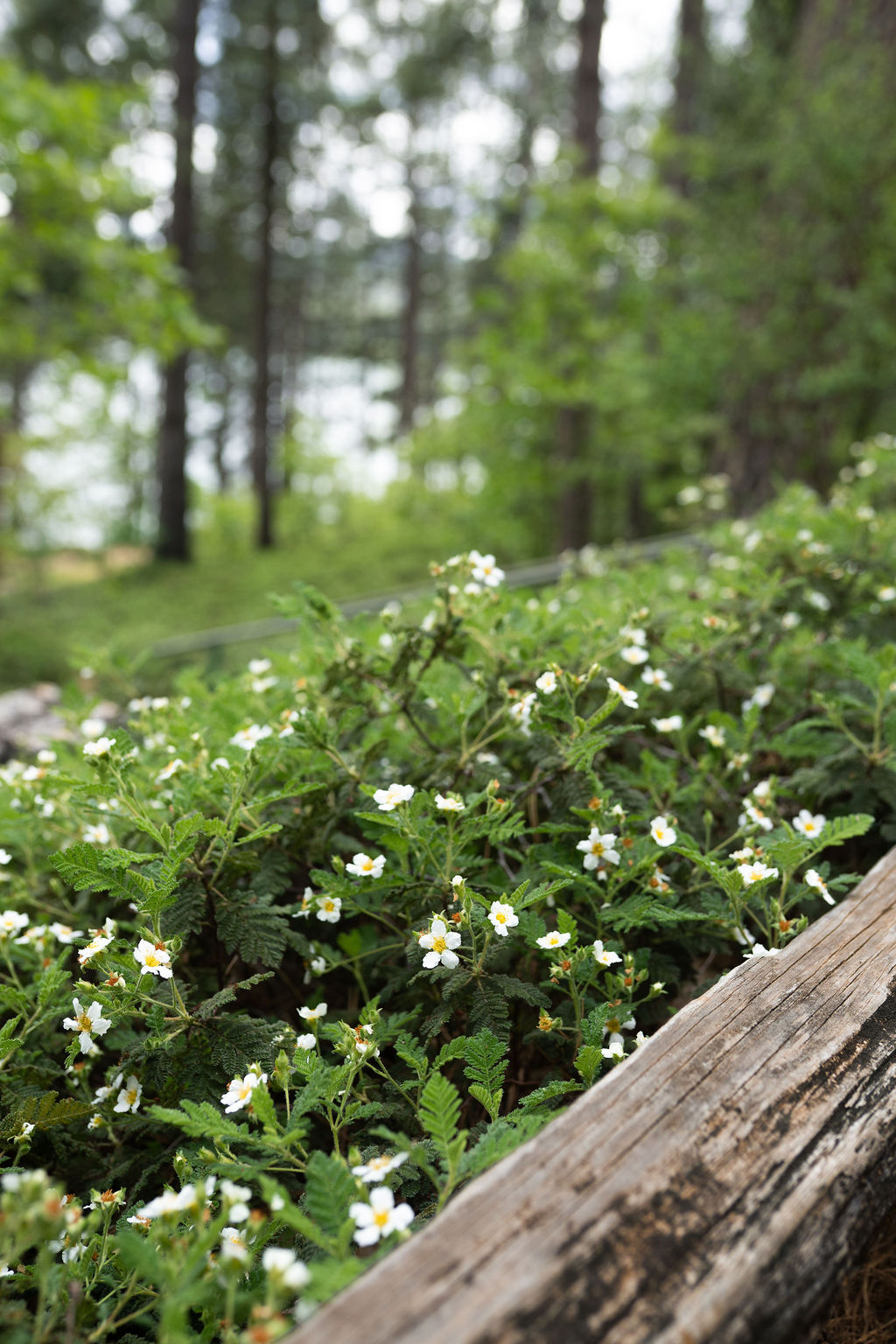 Vitalita10 Vitalita10