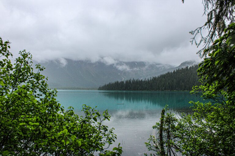 foggy lake representing questions about trauma therapy