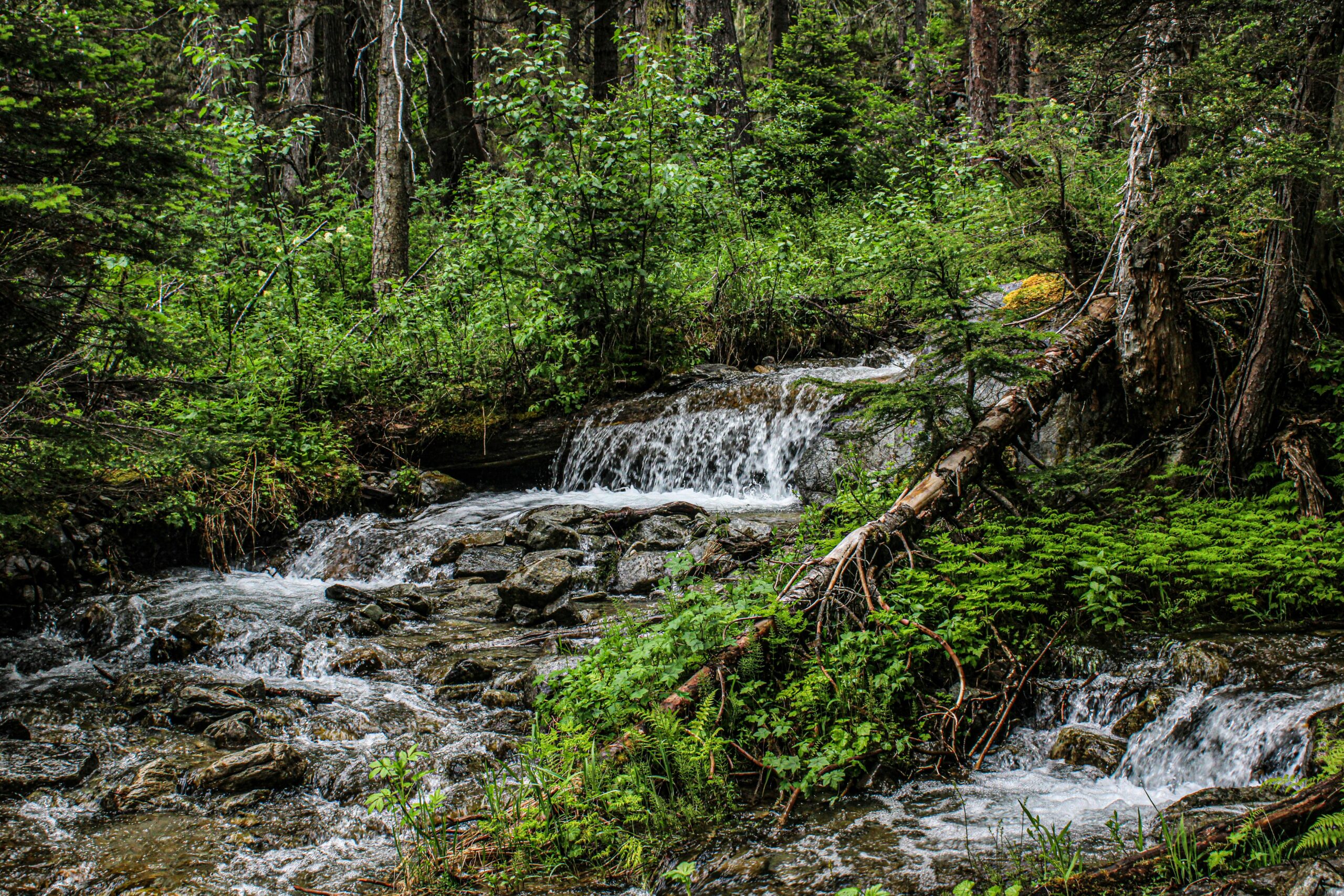 peter-robbins-BMjyw878X5I-unsplash peter-robbins-BMjyw878X5I-unsplash