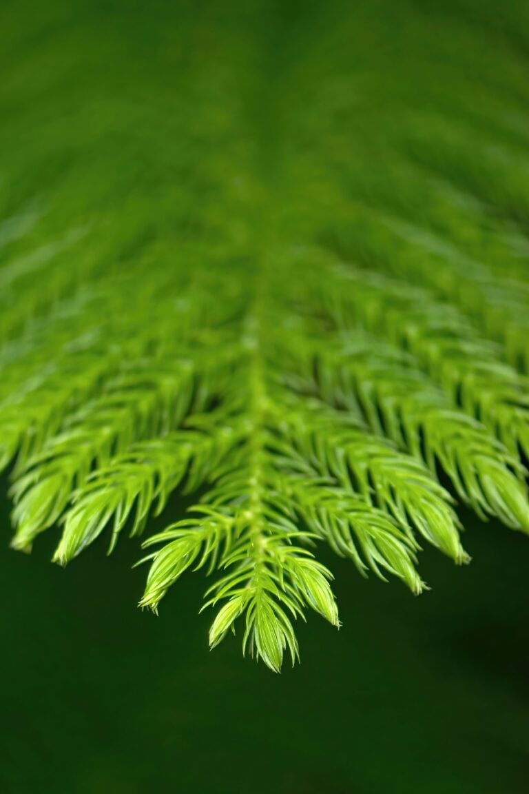 david-clode-G9GKN0IzYX0-unsplash